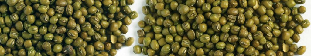Kialla's Organic Mung beans