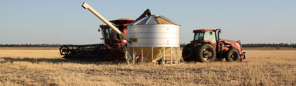 Harvest time across the Darling Downs
