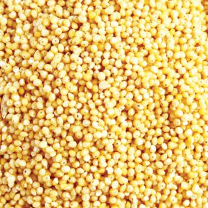 Organic Hulled Millet 20kg