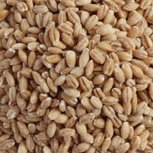 Organic Pearl Barley 20kg