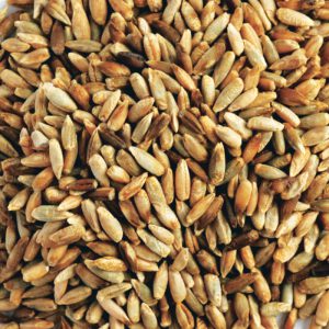 Organic Rye Grain 20kg