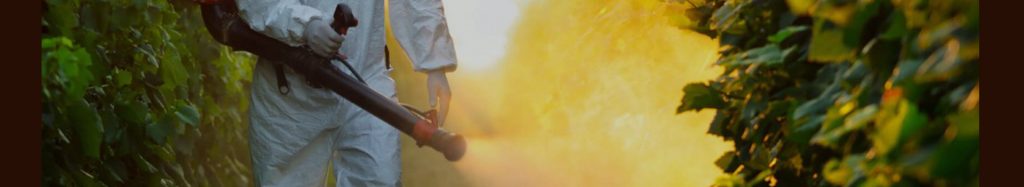 Pesticides are used on almost all conventional produce