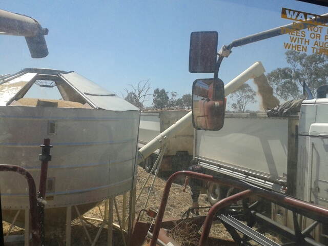 Grain is loaded on the truck