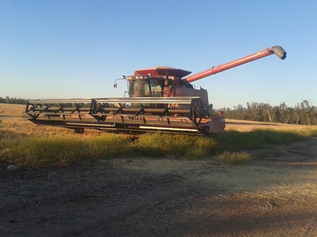 The header in the field