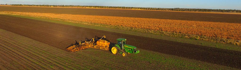 Planting the organic wheat