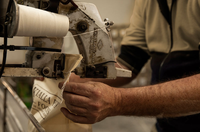 Sewing the calico bags of oats